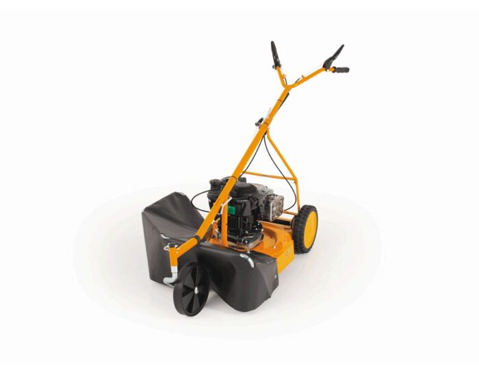 AS 21 4T B&S - immagine 1