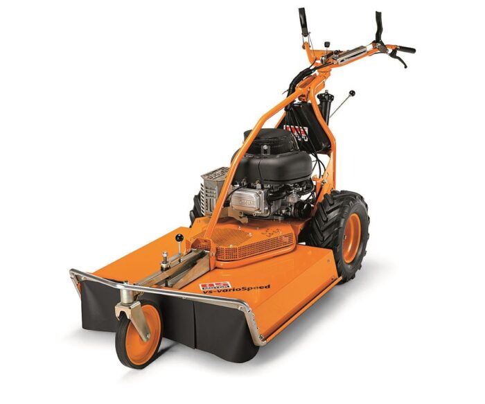 AS 73 4T B&S Variospeed - immagine 1