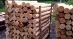 Gedrechselte Kastanienstange Durchmesser 10 cm – Bild 5