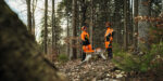 Giacca, DYNAMIC DuroTEC, taglia XXL - immagine 3